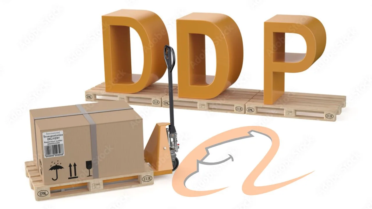 dfh logistics ddp process