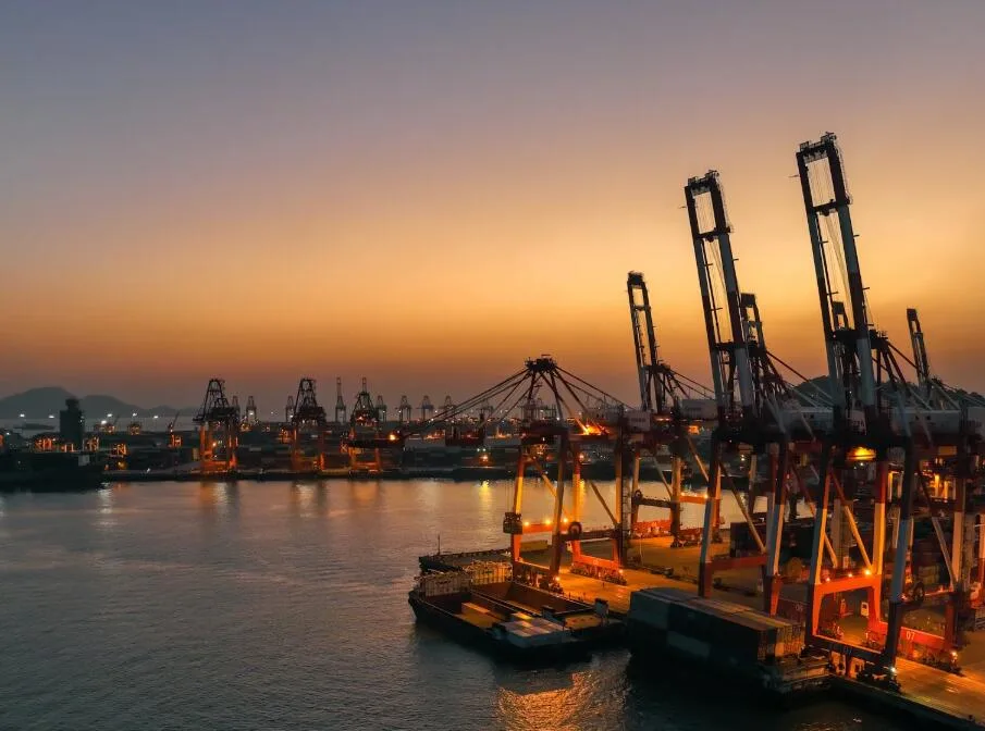 why need a freight forwarder